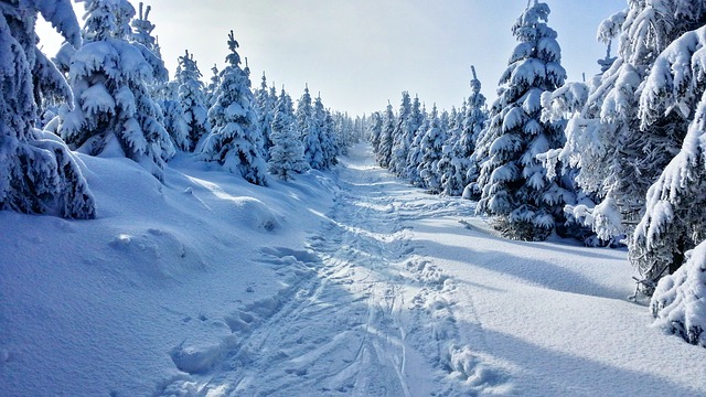 cesta ve sněhu